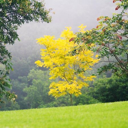 Mount Glorious Mt Glorious Getawaysヴィラ エクステリア 写真