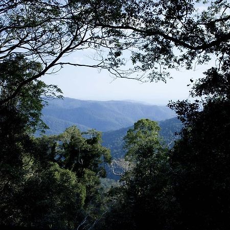 Mount Glorious Mt Glorious Getawaysヴィラ エクステリア 写真