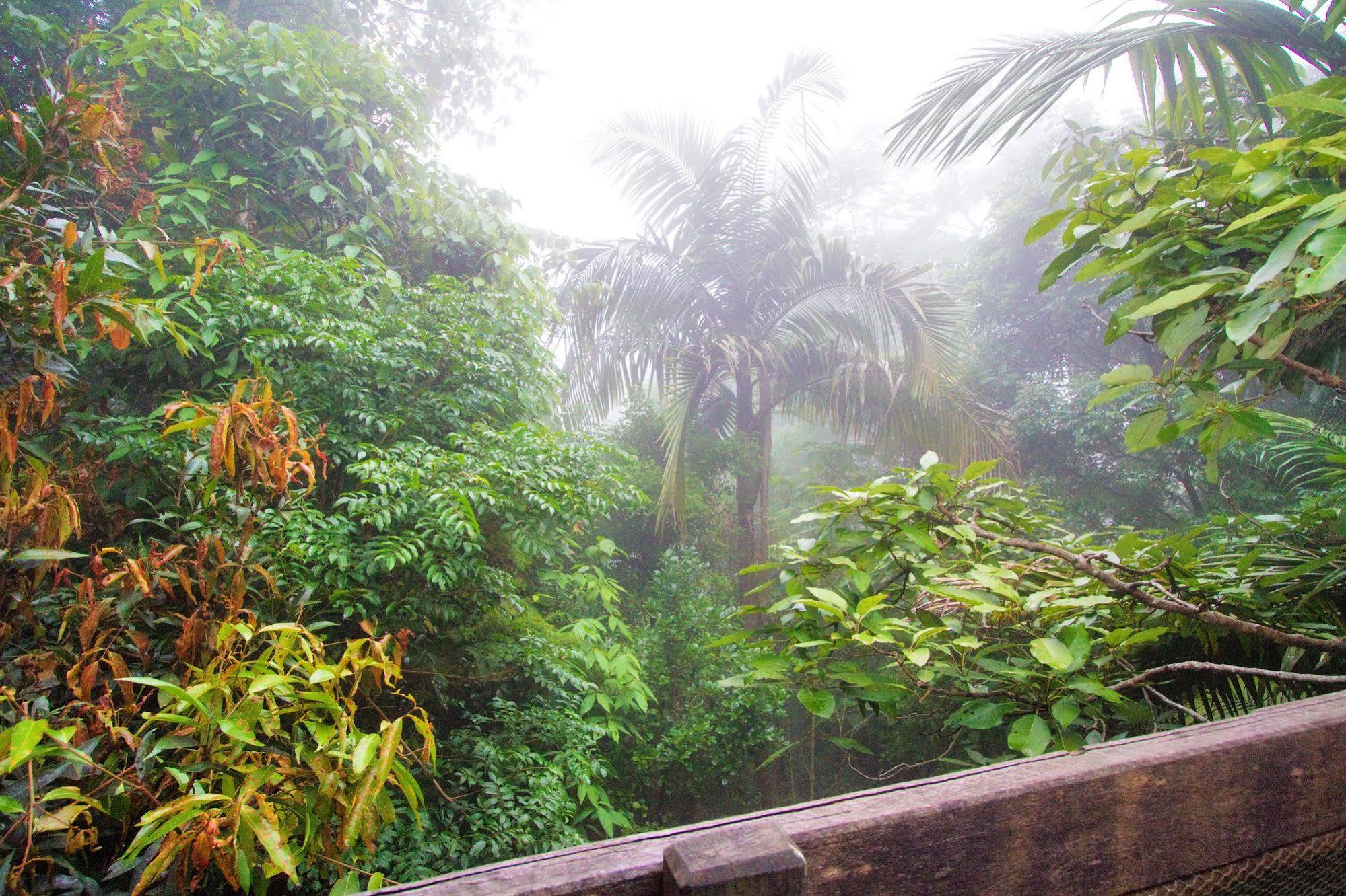 Mount Glorious Mt Glorious Getawaysヴィラ エクステリア 写真
